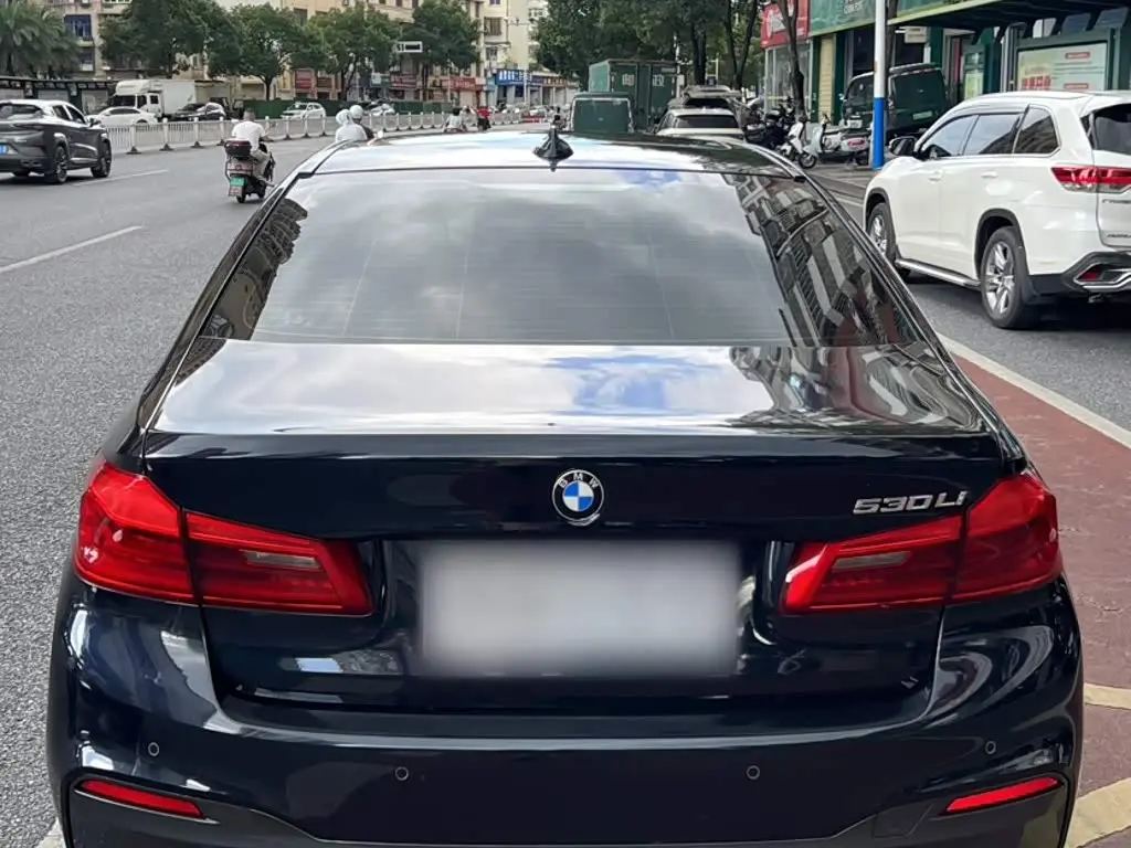 BMW 5 Series 2020 — Photo 6/11