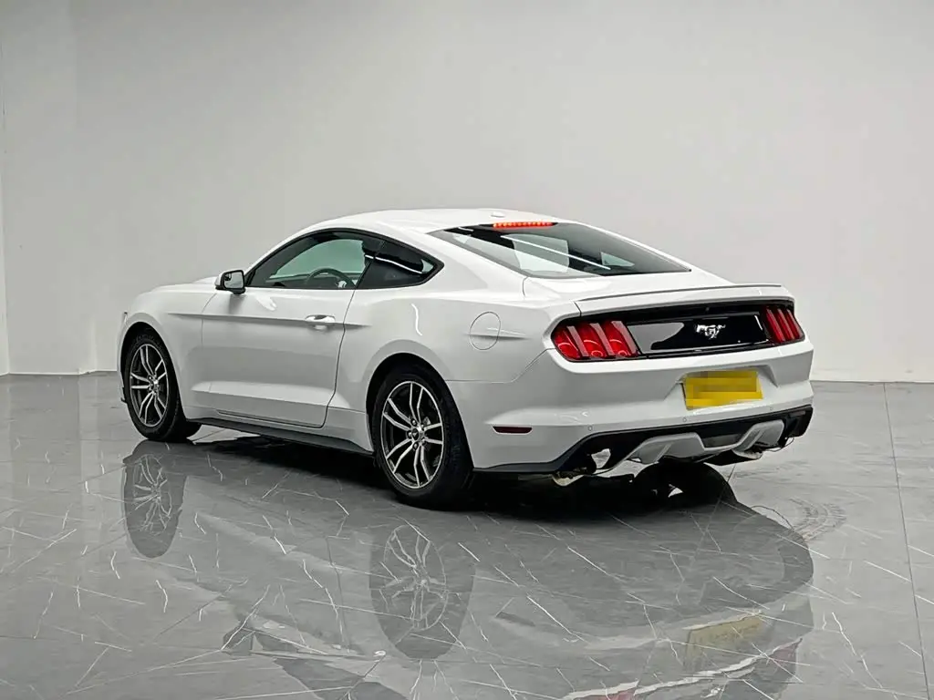 Ford Mustang 2017 — Photo 4/20