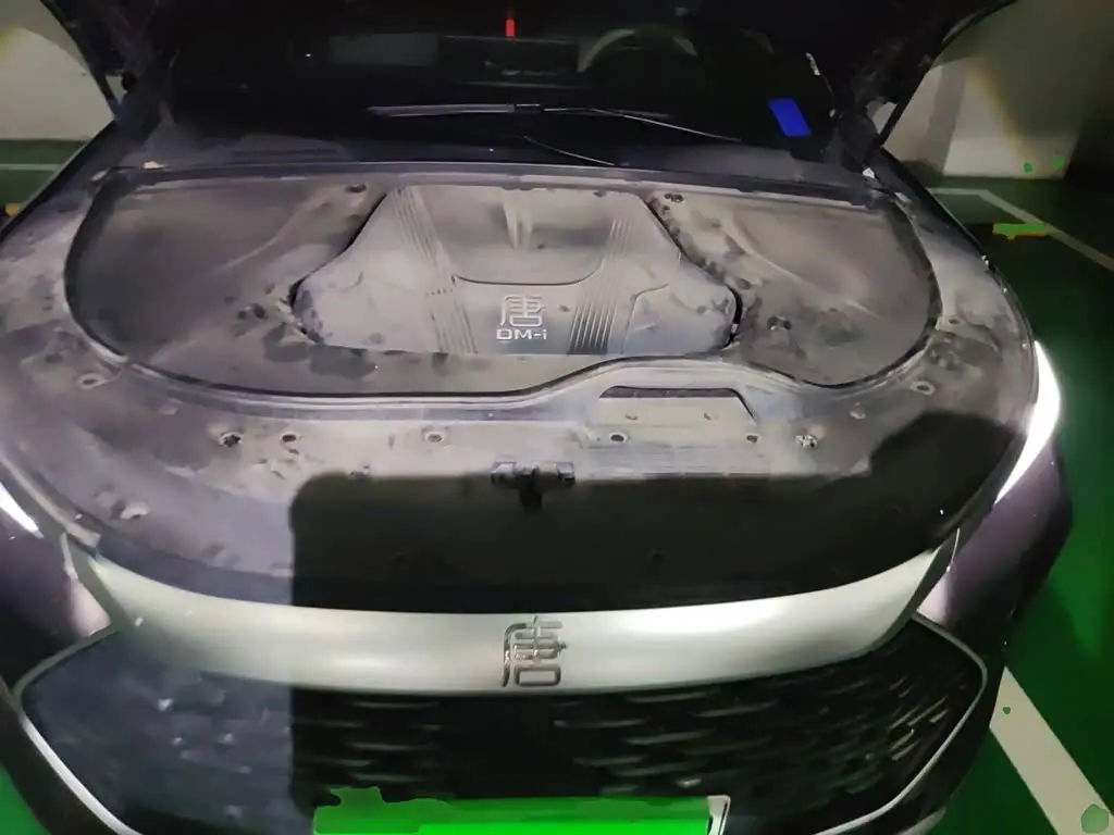 BYD Tang New Energy 2025 — Photo 11/20