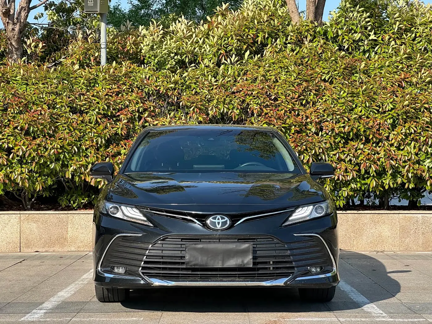 Toyota Camry 2024 — Photo 12/15