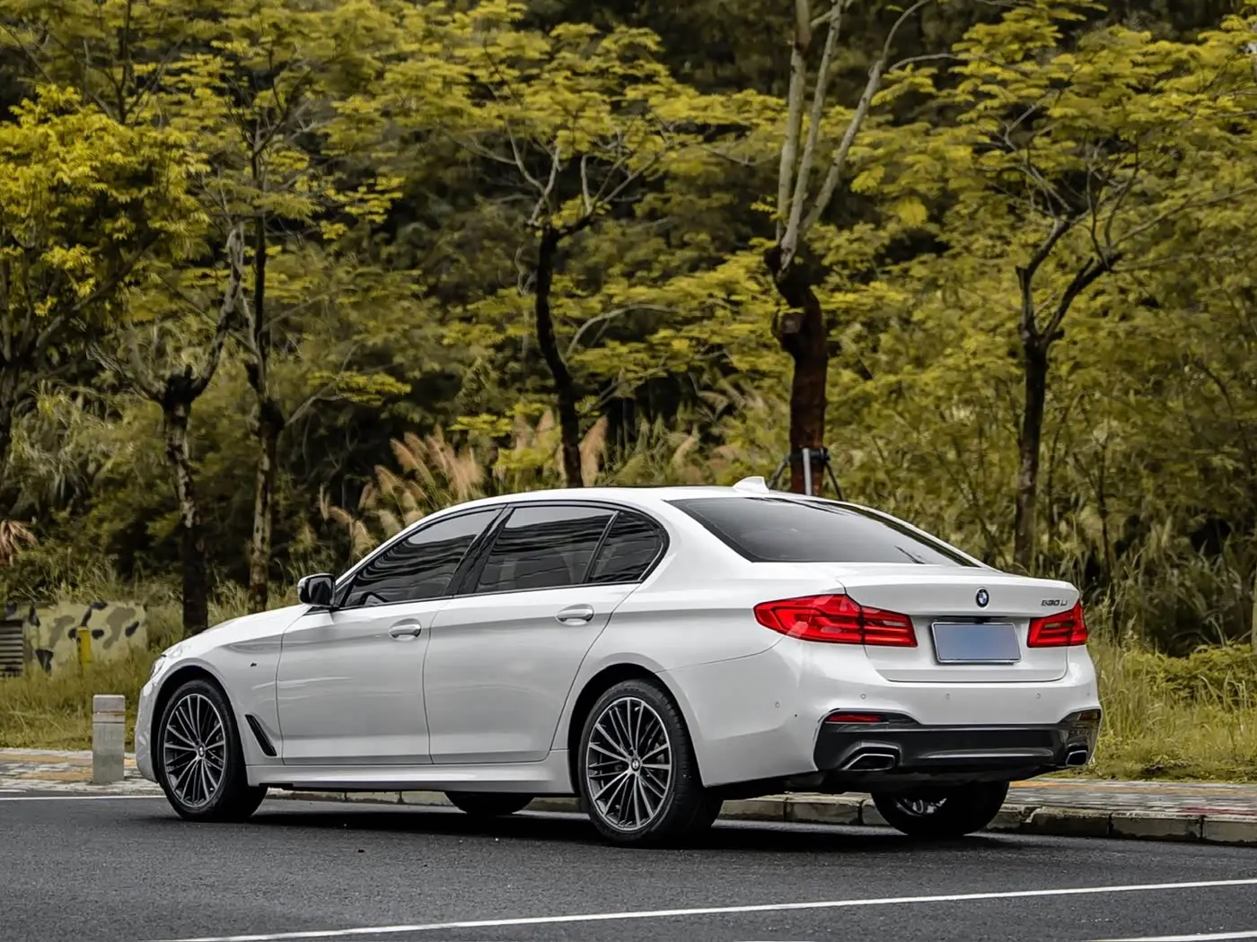 BMW 5 Series 2019 — Photo 3/14