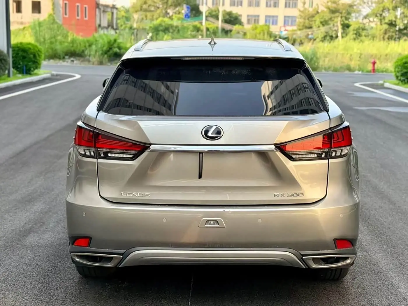 Lexus RX 2020 — Photo 9/10