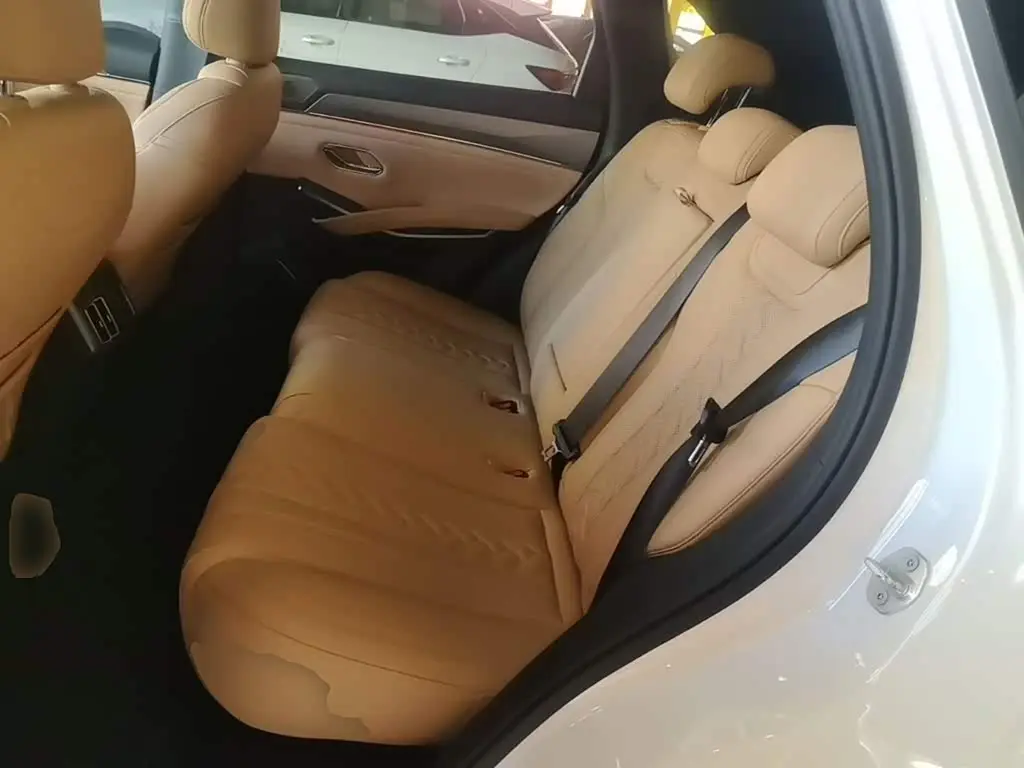 BYD Song L DM-i 2025 — Фото 17/20