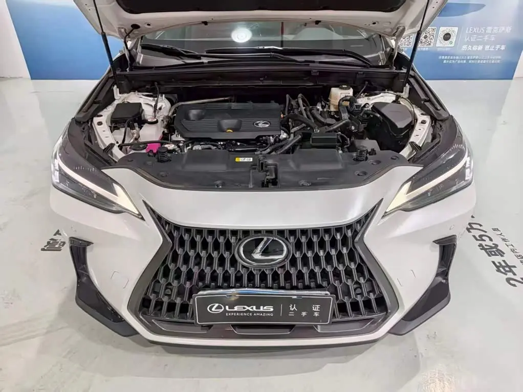 Lexus NX 2023 — Şəkil 9/12