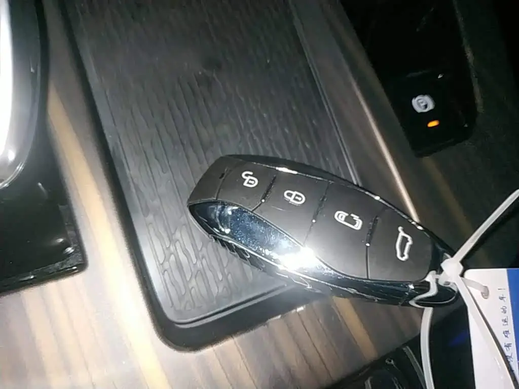 Hongqi HQ9 PHEV 2024 — Photo 9/20