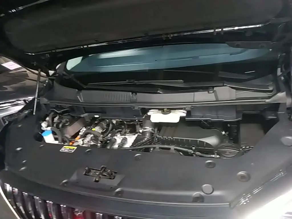 Hongqi HQ9 PHEV 2024 — Photo 20/20