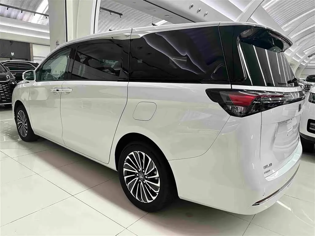 Buick GL8 New Energy 2025 — Photo 16/16