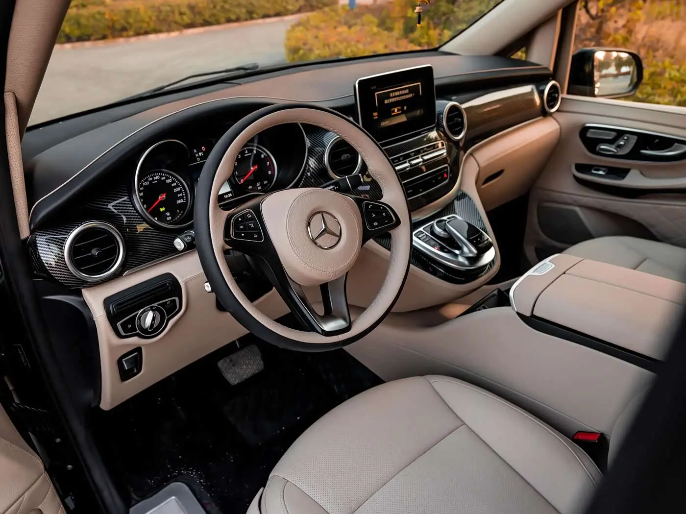 Mercedes-Benz V-Class 2019 — Фото 15/20