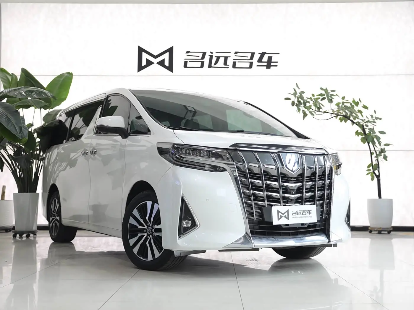 Toyota Alphard 2019 — Фото 3/17