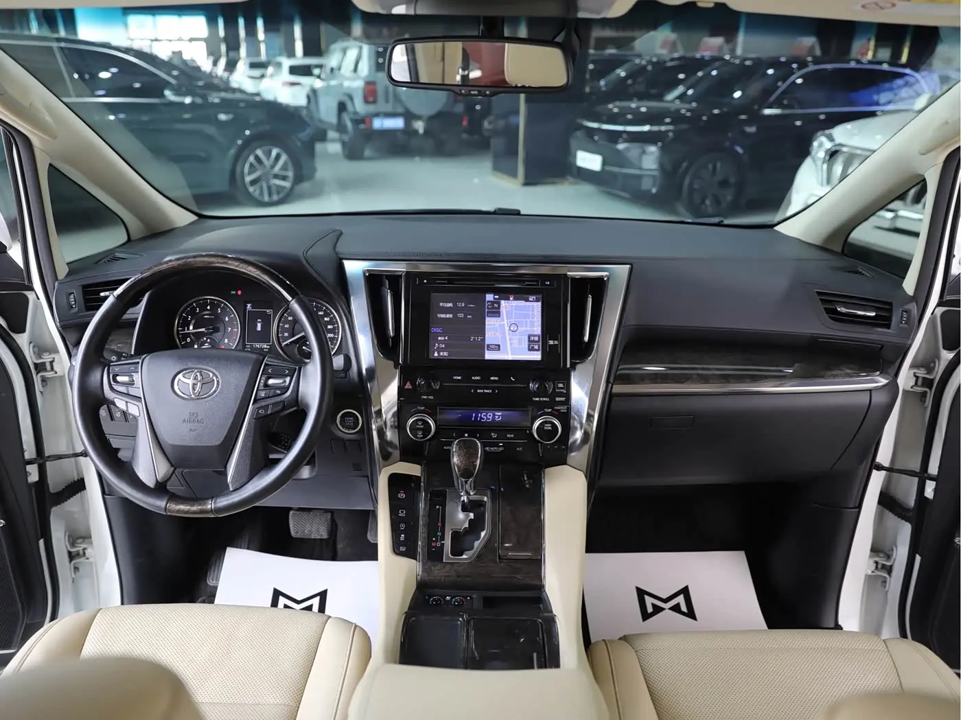 Toyota Alphard 2019 — Фото 12/17