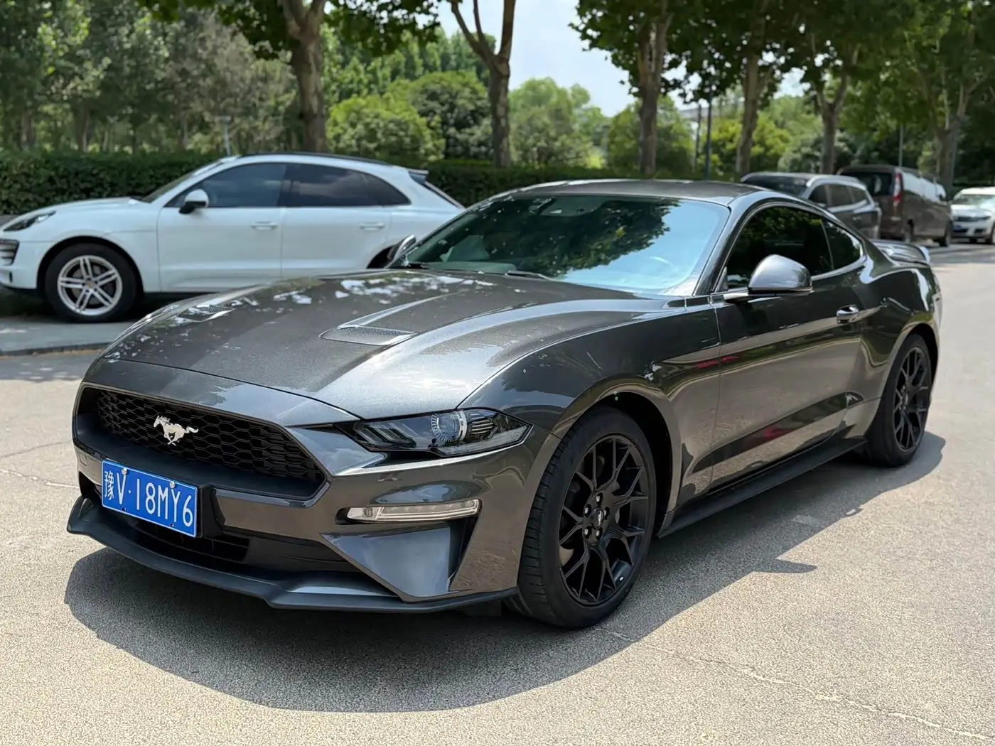 Ford Mustang 2019 — Photo 1/9