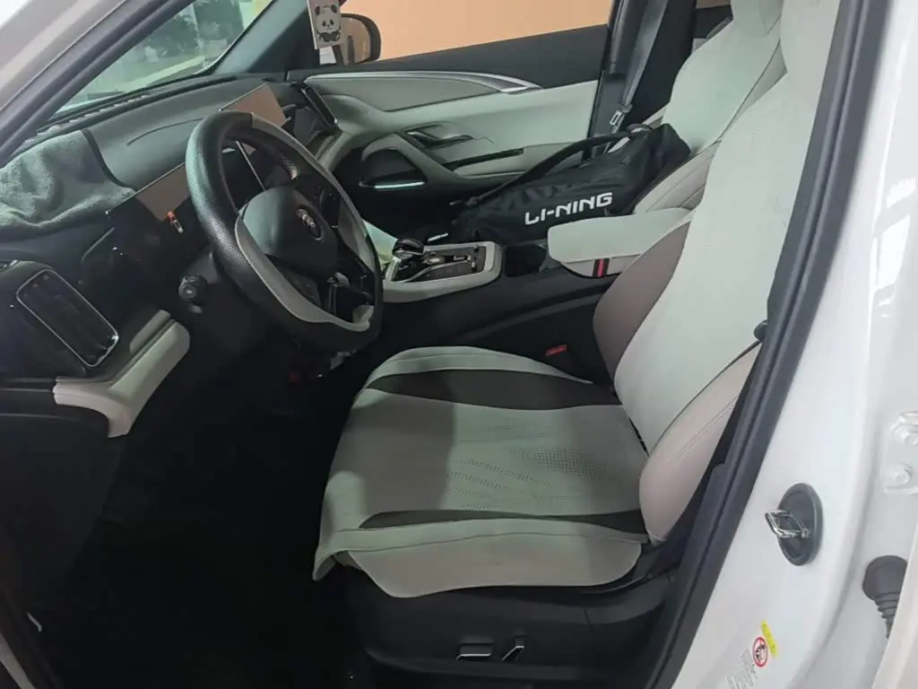 BYD Song Pro New Energy 2024 — Photo 15/20