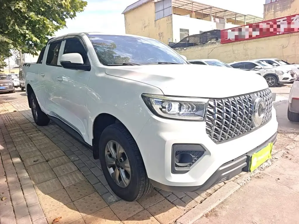 Great Wall Pao 2025 — Photo 4/20
