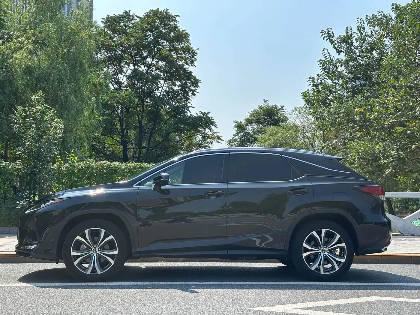 Lexus RX 2022 — ფოტო 19/20