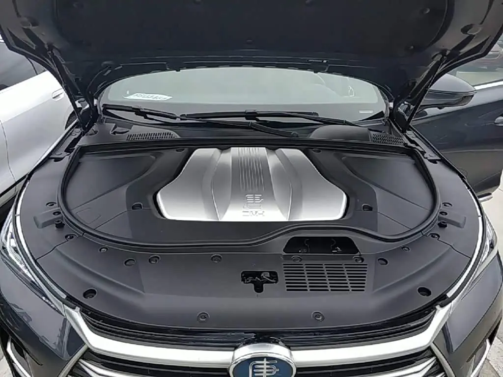 BYD Tang New Energy 2022 — Photo 20/20