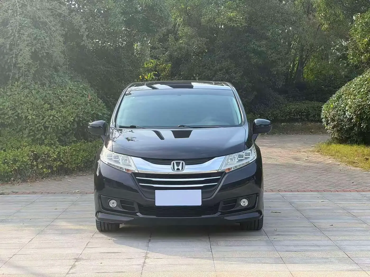 Honda Odyssey 2017 — Фото 2/10
