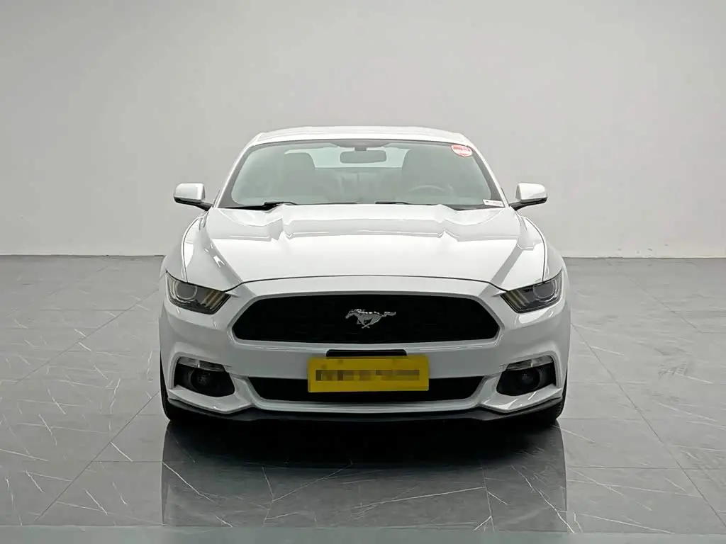 Ford Mustang 2017 — Photo 2/20