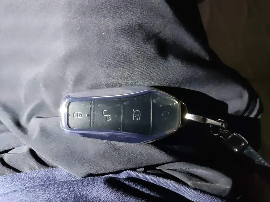 BYD Tang New Energy 2025 — Photo 12/20