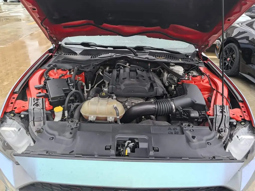 Ford Mustang 2019 — Photo 11/14