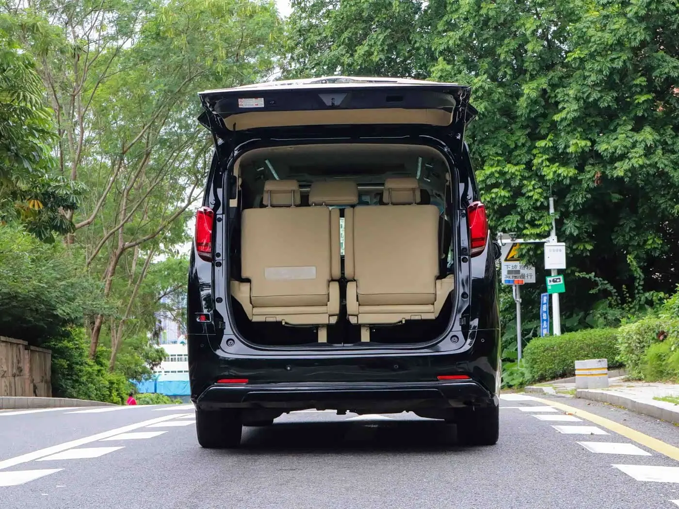 Toyota Alphard 2019 — ფოტო 14/14