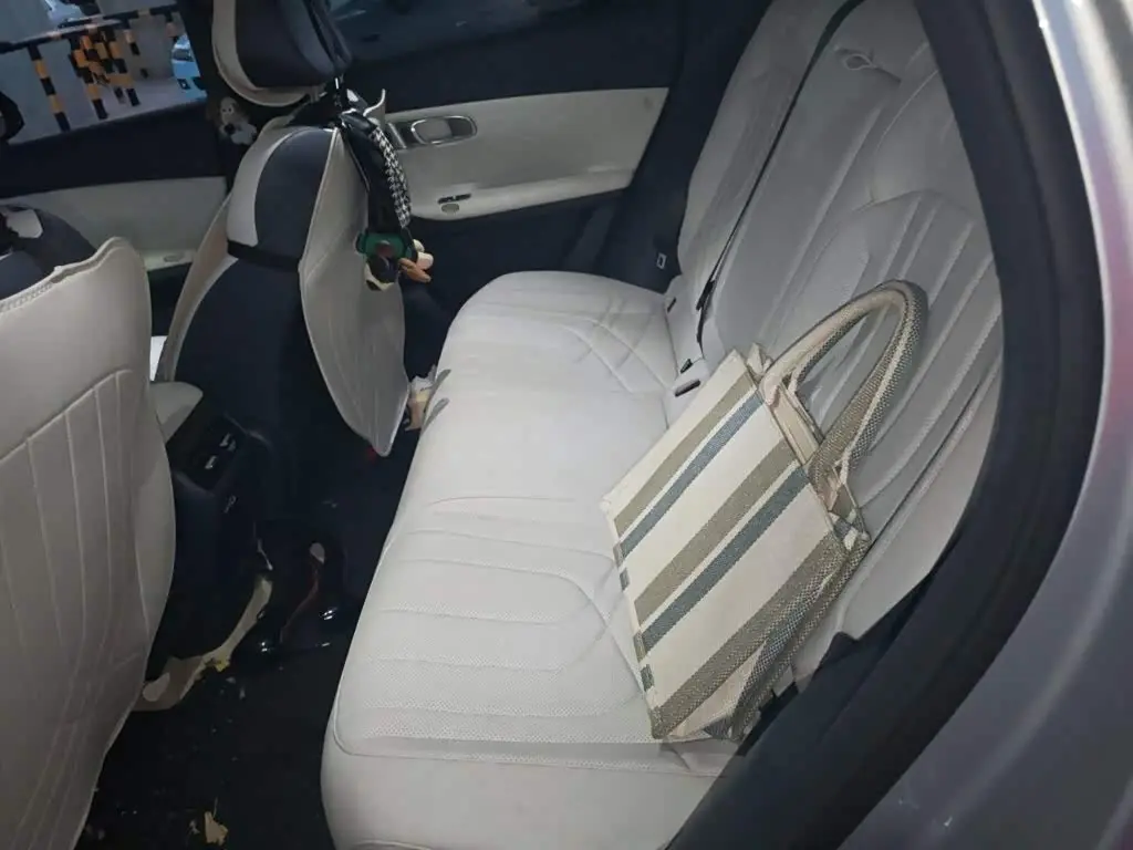 Geely Galaxy Galaxy Starship 7 EM-i 2025 — Şəkil 13/20
