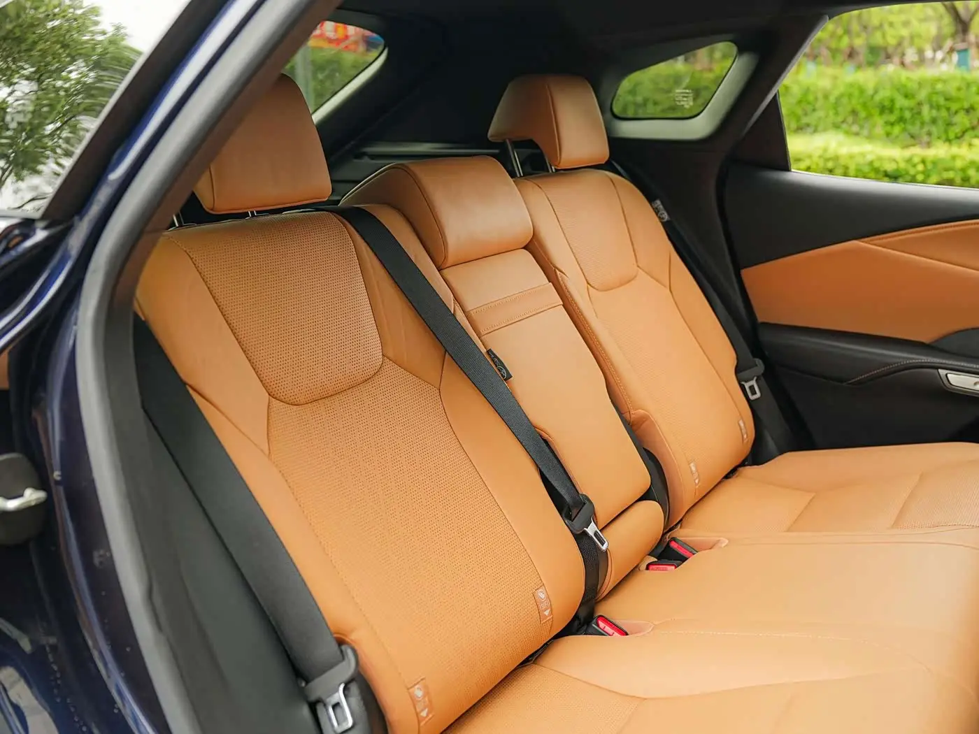Lexus RX 2023 — Photo 14/20