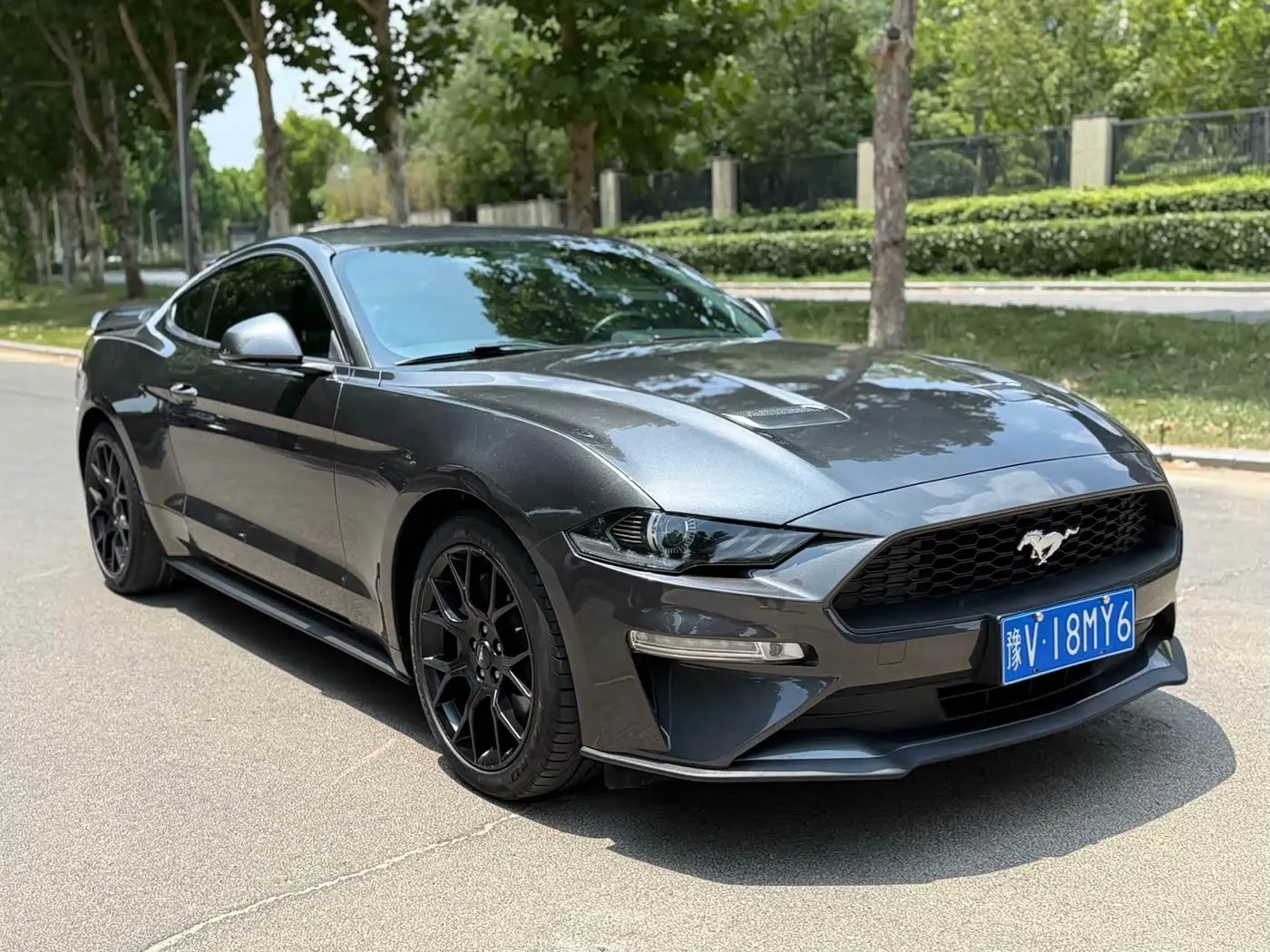 Ford Mustang 2019 — Photo 3/9