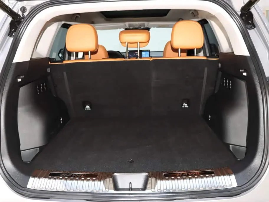 Haval Second-Generation Big Dog New Energy 2023 — Photo 17/20