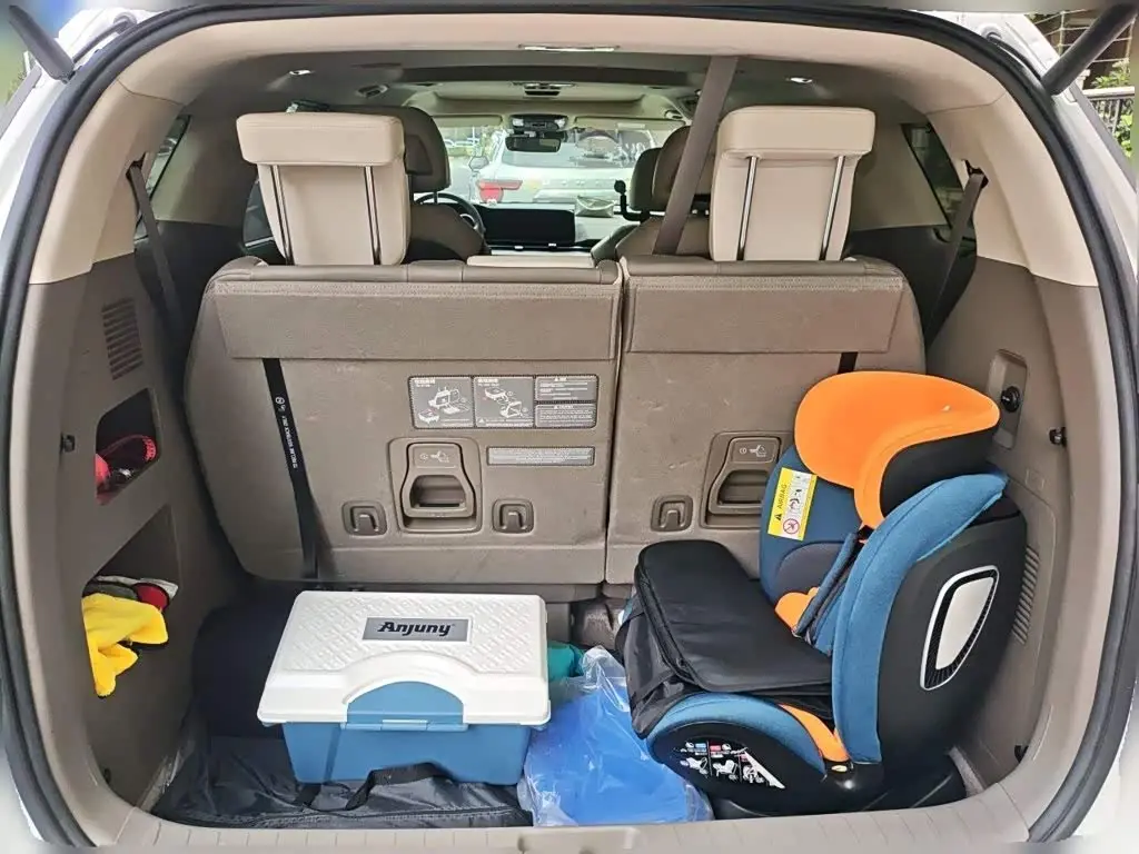 Kia Carnival 2021 — Фото 15/20