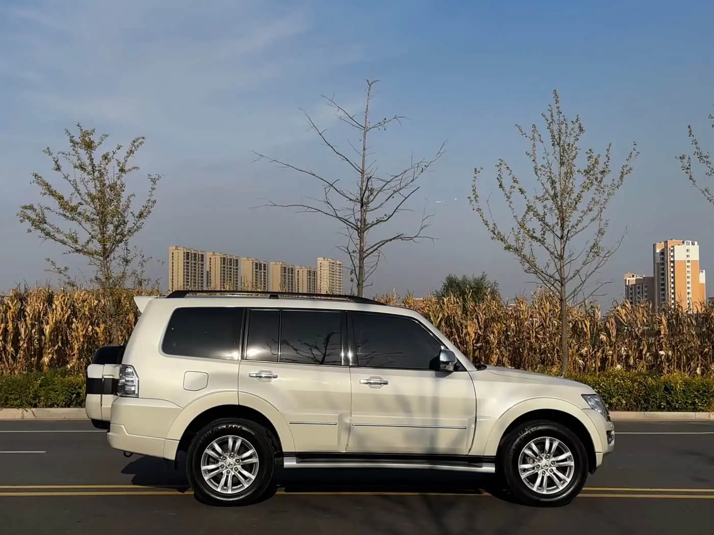 Mitsubishi Pajero 2019 — Photo 4/9