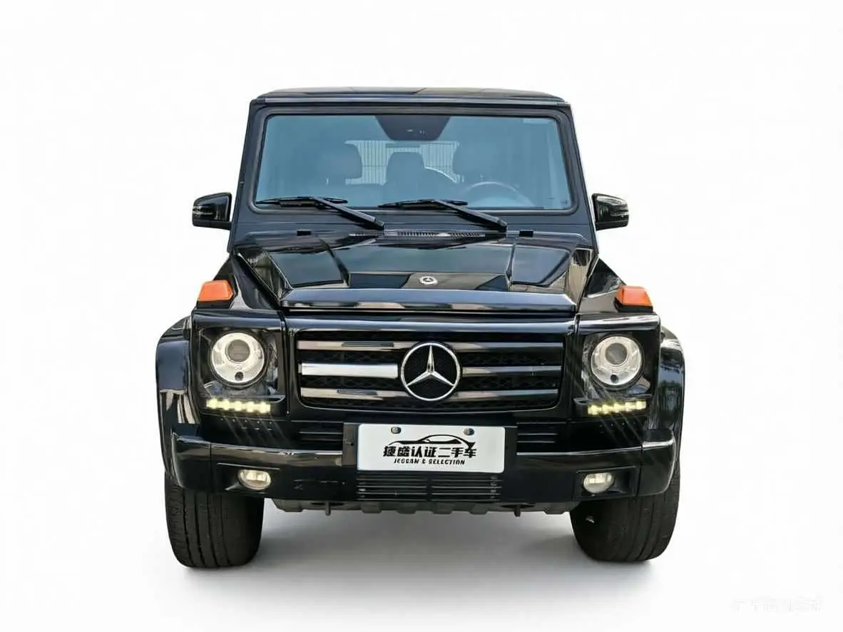 Mercedes-Benz G-Class 2010 — Photo 2/15