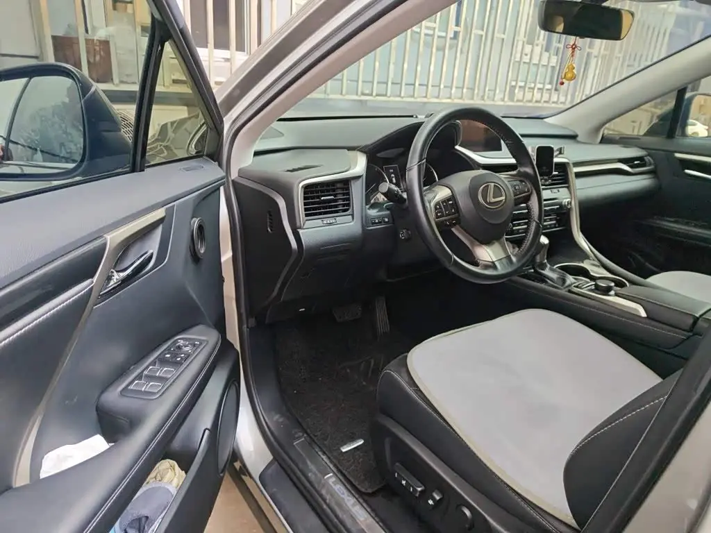 Lexus RX 2019 — Photo 12/20