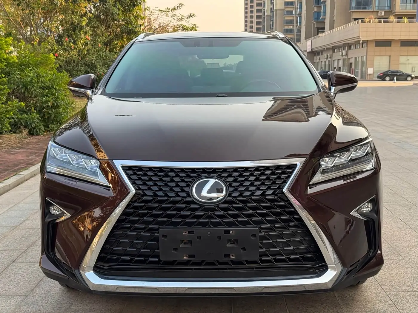 Lexus RX 2017 — Photo 1/20