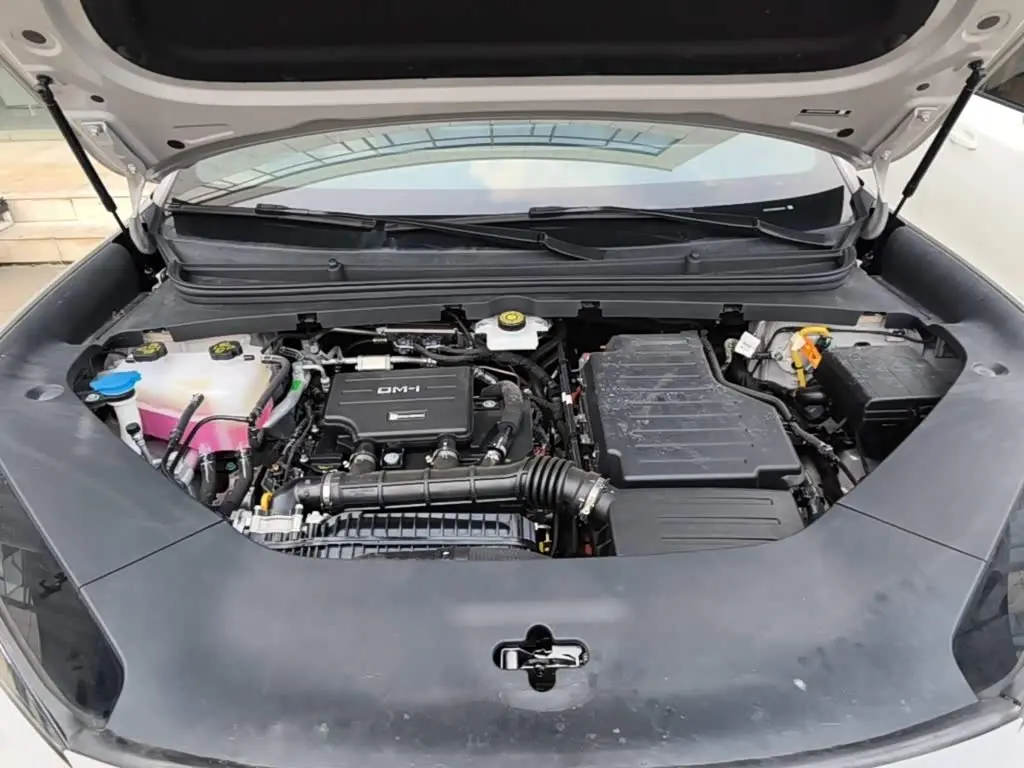 BYD Sealion 06 New Energy 2025 — Photo 20/20