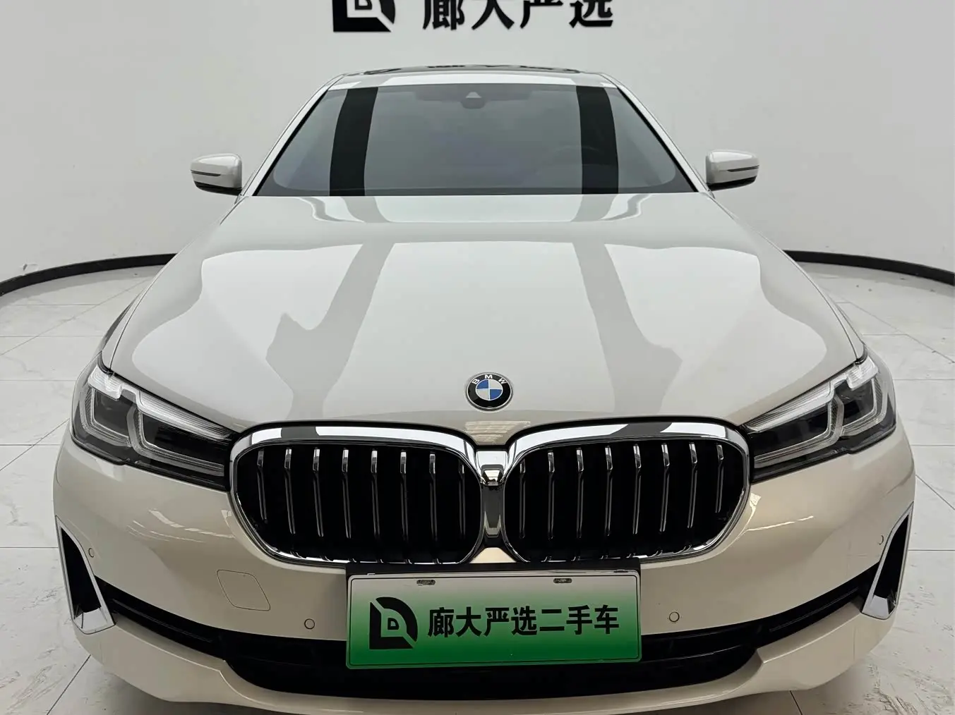 BMW 5 Series New Energy 2021 — Фото 2/11