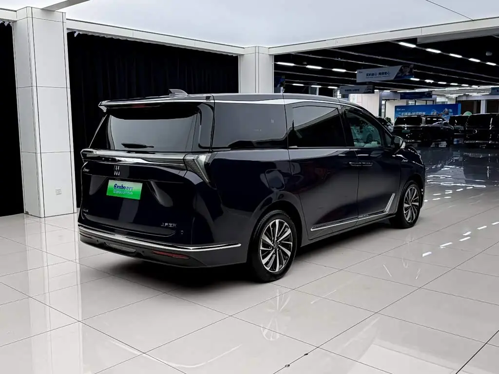 Buick GL8 New Energy 2025 — Photo 14/17