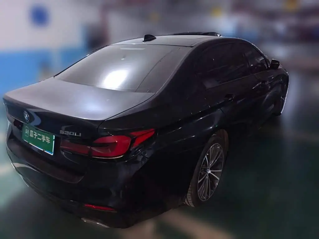 BMW 5 Series 2019 — Photo 4/20