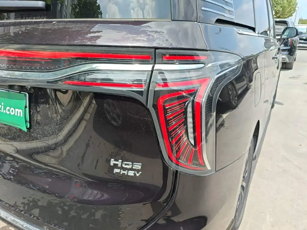 Hongqi HQ9 PHEV 2025 — Photo 8/20