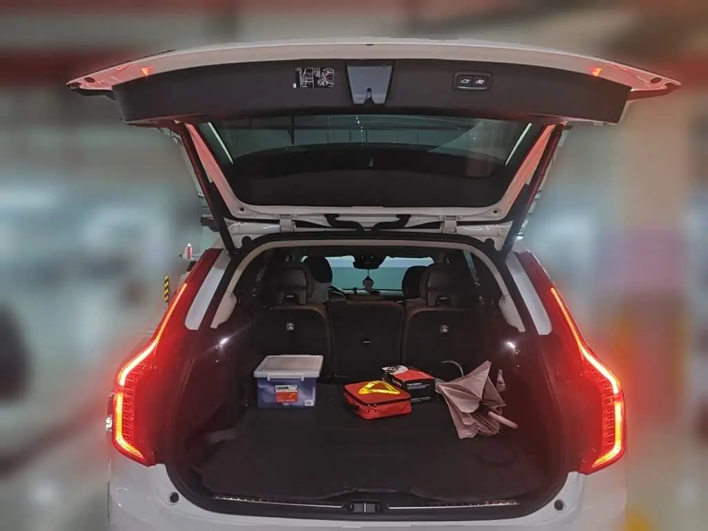 Volvo XC90 2019 — Photo 10/20
