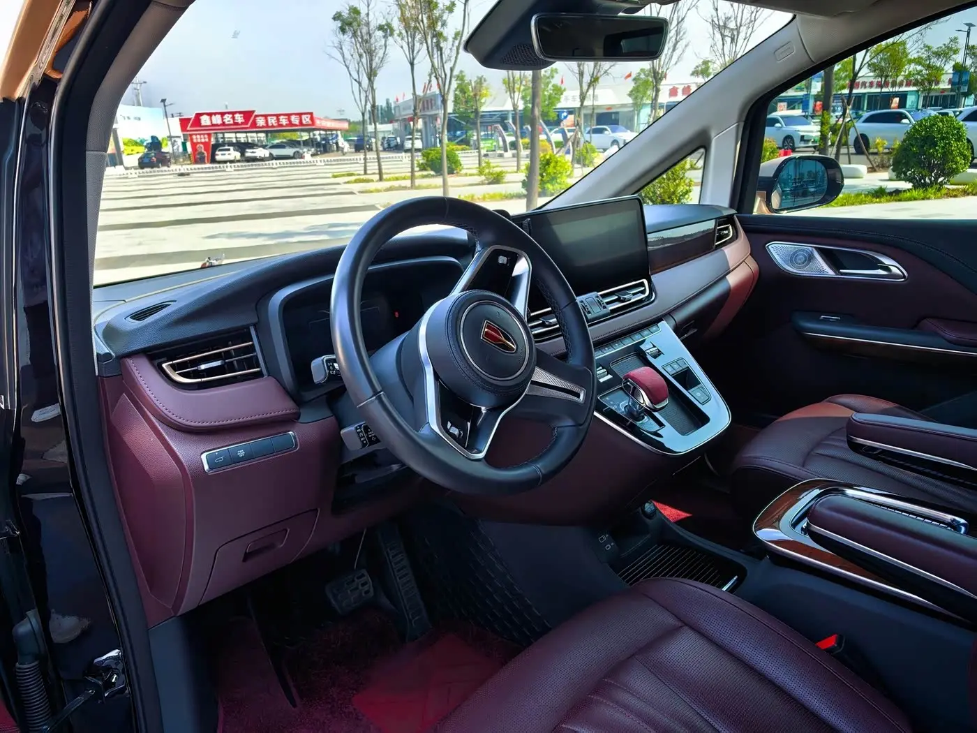 Hongqi HQ9 2024 — Photo 10/19