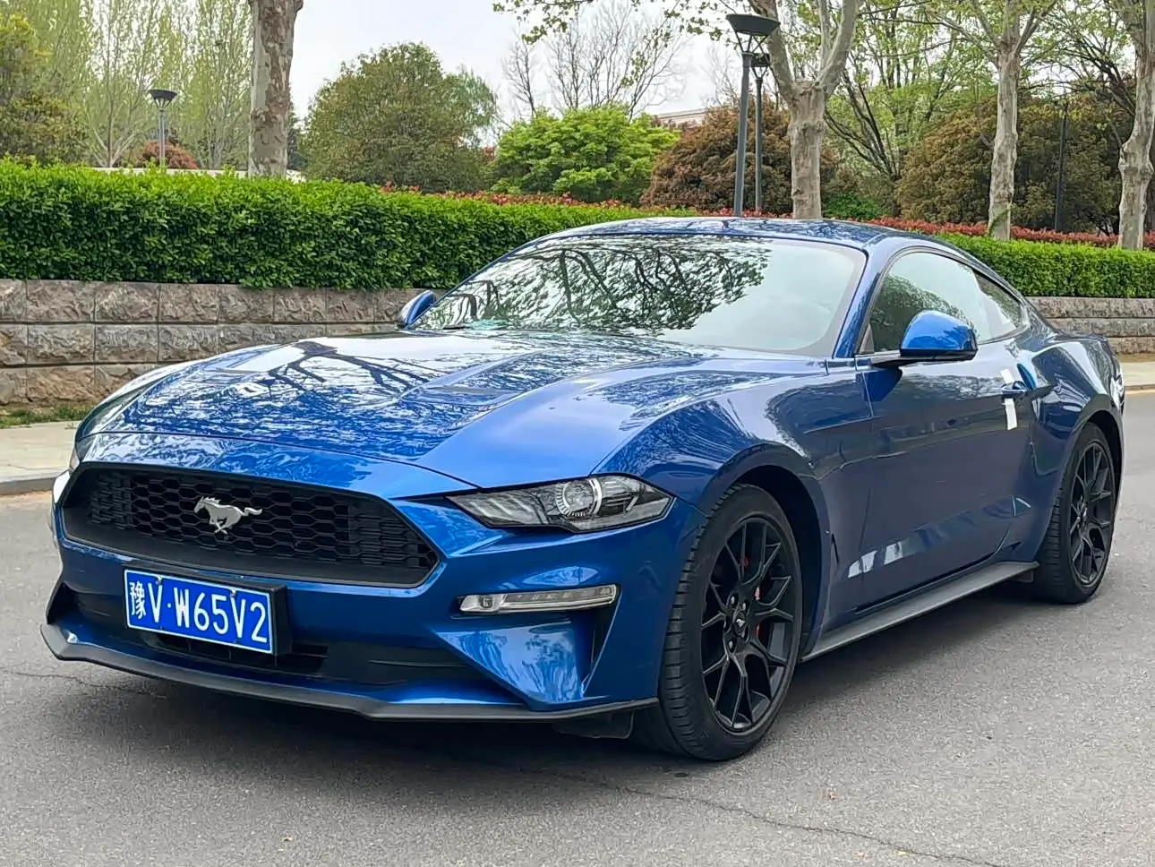 Ford Mustang 2019 — Photo 1/9
