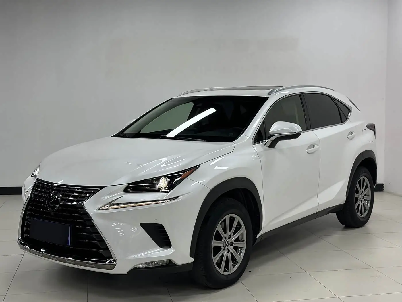 Lexus NX 2019 — Photo 1/19