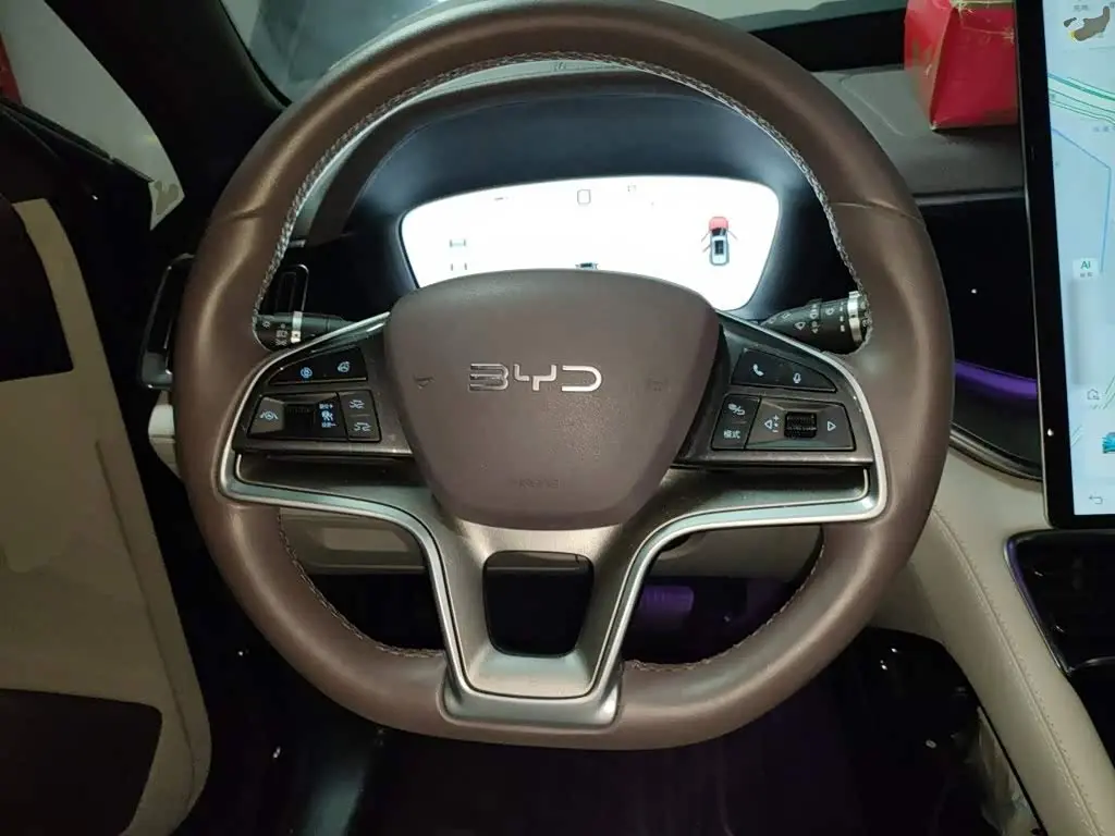 BYD Song PLUS PHEV 2024 — Фото 11/20
