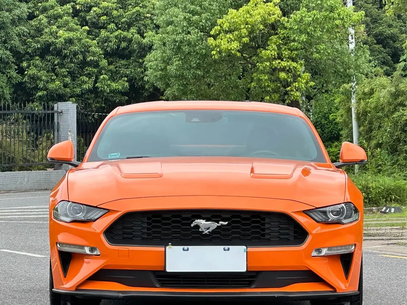 Ford Mustang 2021 — Photo 1/18