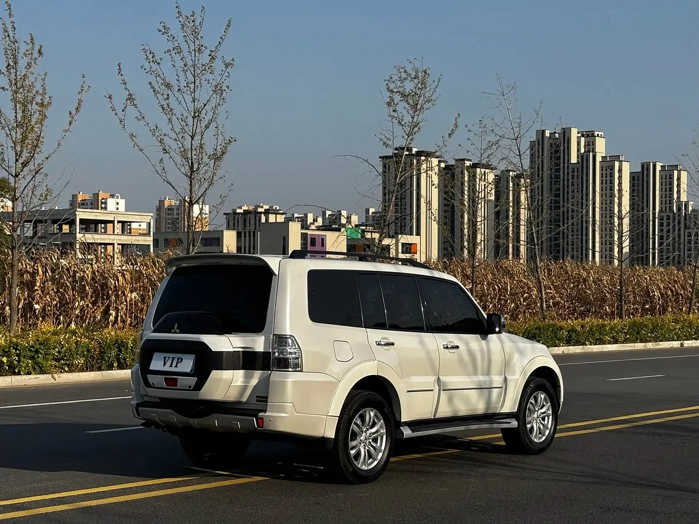 Mitsubishi Pajero 2019 — Photo 7/9