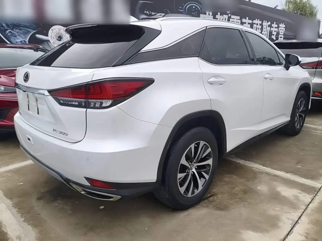 Lexus RX 2021 — Şəkil 7/20
