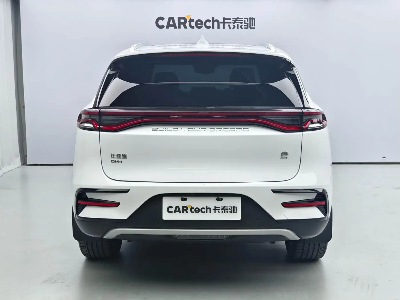 BYD Tang New Energy 2024 — Фото 6/17