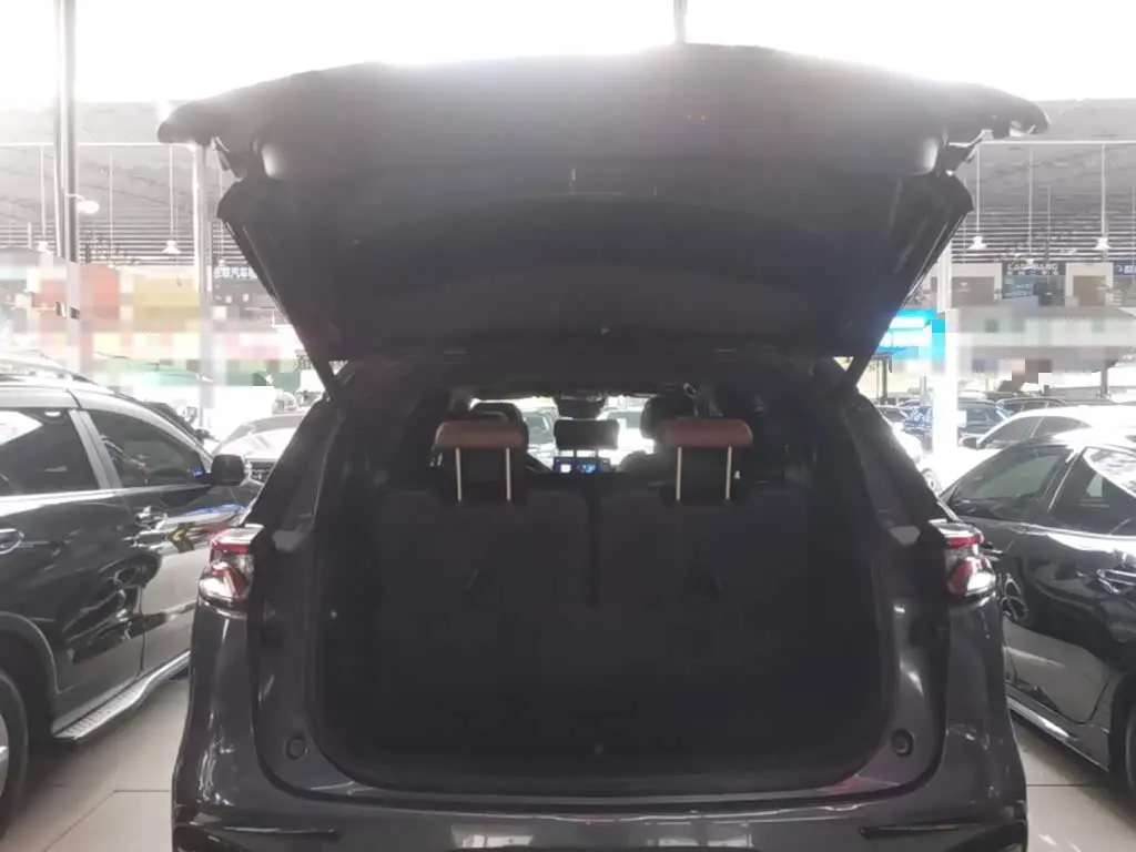 BYD Tang New Energy 2023 — Photo 18/19