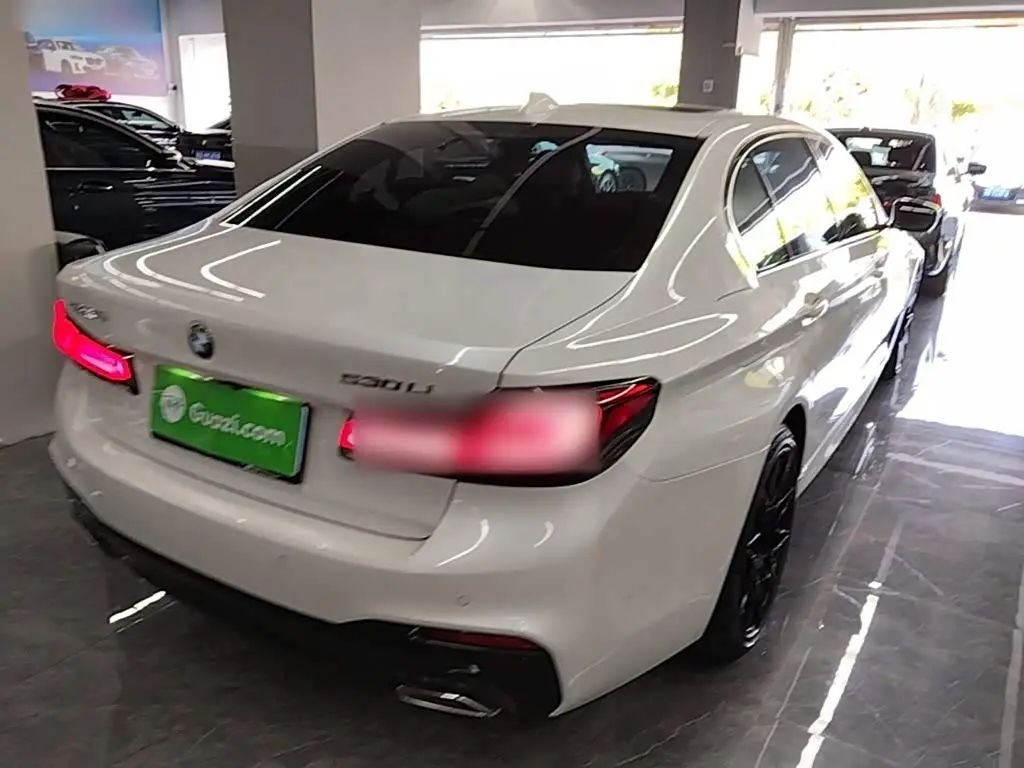 BMW 5 Series 2019 — Photo 6/19