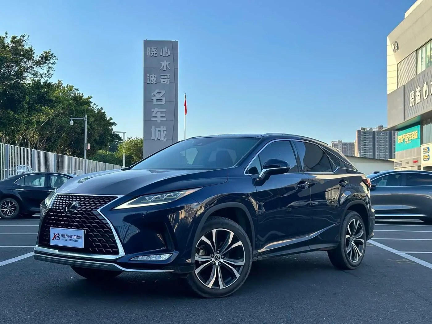 Lexus RX 2020 — Фото 1/20